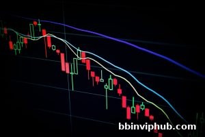 BBIN真人视角：深入解读彩票公益金与官方安全参与之道