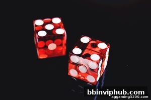 AG真人 bbinviphub